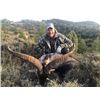 Image 1 : 10-day Spain Beceite Ibex Hunt for Two Hunters