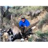 Image 2 : 10-day Spain Beceite Ibex Hunt for Two Hunters