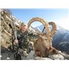 Image 2 : 6-day Tajikistan Mid-Asian Ibex Hunt for One Hunter