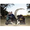 Image 2 : 7-day South Africa Cape Buffalo Up To 40 Inches and One Sable Up To 40 Inches for Two Hunters