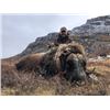 Image 2 : 5-day Greenland Central Barren Ground Caribou Hunt for One Hunter