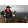 Image 1 : 6-day Macedonia Balkan Chamois or European Gray Wolf Hunt for One Hunter and One Non-Hunter
