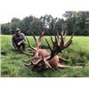 Image 1 : 5-day Hungary Fallow Deer and Red Deer Hunt for Two Hunters and Two Non-Hunters
