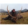 Image 2 : 5-day New Zealand Sika Deer Hunt for One Hunter and One Non-Hunter
