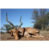 Image 2 : 7-day South African Plains Game Hunt for One Hunter and One Non-Hunter