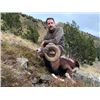 Image 2 : 5-day Spain Free-Range Iberian Mouflon for One Hunter and One Non-Hunter