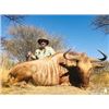 Image 1 : Make Your Dream Hunt Come True With Sandstone Safaris, South Africa’s Premier Outfitter!