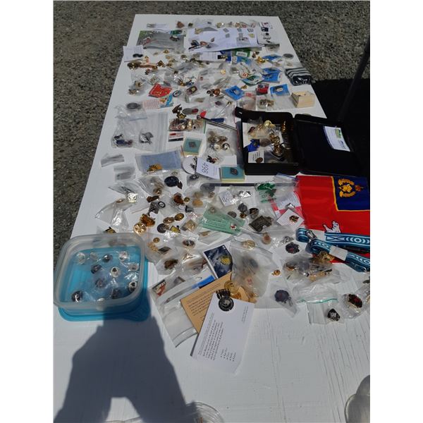 Olympic and Police pins Cat B