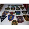 Image 9 : Winnipeg Police Insignias Cat B