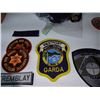 Image 17 : Assortment of RCMP, Security & Transit Insignias Cat B
