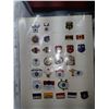 Image 13 : Collector Pins in Album Sheafs of Various Themes Cat B,