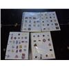Image 40 : Collector Pins in Album Sheafs of Various Themes Cat B,