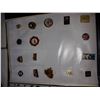 Image 41 : Collector Pins in Album Sheafs of Various Themes Cat B,