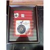 Image 2 : Framed Spirit of 94 Legacy Pin Cat B