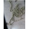 Image 2 : 45' Chain, 10' Chain & Hooks