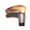 Image 2 : 19th Century Cane With Horn & Sterling Handle