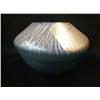 Image 1 : Eickholt Iridescent Vase