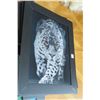 Image 8 : 8-Asst. Framed Animal Prints - 8 X $ Several are Holograms