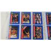 Image 2 : (18) 1991 WWF Classics wrestling cards (good condition!)