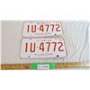 Image 1 : (2) Yukon Licence plates 79
