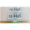 Image 1 : (2) Yukon Licence plates 78