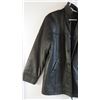Image 3 : Danier Leather Jacket - size US 36-38 (Small)