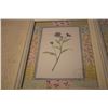 Image 2 : (2) Framed Floral Pictures