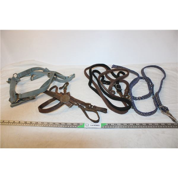 (5) Pieces of Horse Tack