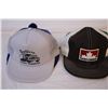 Image 3 : (10) Trucker Style Hats