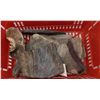 Image 1 : LOT OF DINOSAUR BONES FOSSILS
