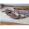 Image 3 : Garden Fence and Garden Decorations - Turtles and Alligators (12" Long)