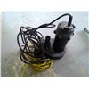 Image 1 : Submersible Pump