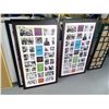 Image 1 : 2 Large Picture Frames 36.5x20"