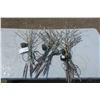 Image 1 : Garden Lights - Shrubbery Design