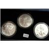 2006 20th Anniversary American Eagle Coin Set Original Box