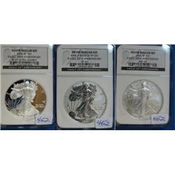 2006 20th Anniversary American Eagle Coin Set No Box