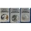 2006 20th Anniversary American Eagle Coin Set No Box