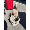 Image 2 : Planter