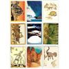 Image 5 : William Stout Illustration Trading Cards - 27 Cards - No Duplicates