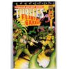 Image 1 : Teenage Mutant Ninja Turtles December 1993, FLAMING CARROT