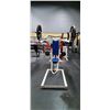 Image 1 : PARAMOUNT COMMERCIAL FREE WEIGHT TOTAL SHOULDER PRESS MACHINE WITH 2 - 45LBS PLATES AND 2 - 5LBS ...