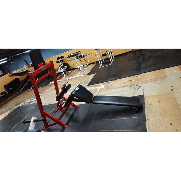 HAMMER STRENGTH COMMERCIAL MULTIFUNCTION DIP AND FREE WEIGHT WORKOUT BENCH