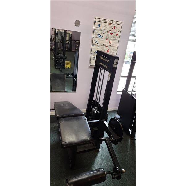 APEX COMMERCIAL VARIABLE WEIGHT LEG CURL MACHINE (LOCATED IN LADIES SECTION UPSTAIRS)