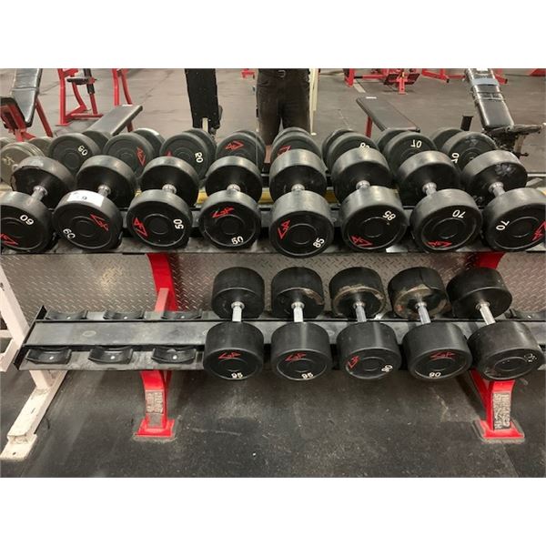 HAMMER STRENGTH COMMERCIAL 20 SLOT DUMBBELL RACK WITH 13 ASSORTED DUMBBELLS