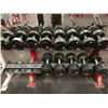 Image 1 : HAMMER STRENGTH COMMERCIAL 20 SLOT DUMBBELL RACK WITH 13 ASSORTED DUMBBELLS