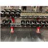 Image 1 : HAMMER STRENGTH COMMERCIAL 20 SLOT DUMBBELL RACK WITH 12 ASSORTED DUMBBELLS