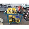 Image 1 : ASSORTED HEAVY DUTY CHAIN, PIN ANCHORS, HOOKS, 1/2 TON CHAIN HOIST AND BLUE MOBILE 2 TIER PRODUCT