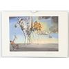 Image 2 : Spanish Linocut on Paper 35/100 Signed Dali