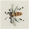 Image 3 : Chinese Watercolor on Paper Bird Signed
