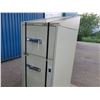 Image 2 : Fire Proof Fire Cabinet